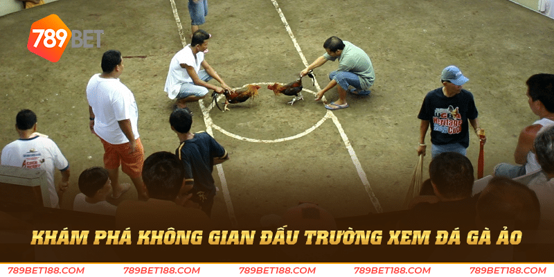 Xem đá gà - Khám phá thế giới đá gà hấp dẫn 3 Khám phá không gian đấu trường xem đá gà ảo