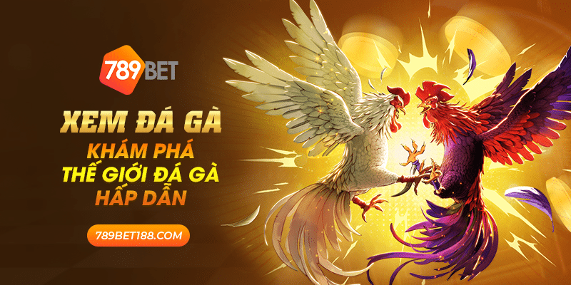 Xem đá gà - Khám phá thế giới đá gà hấp dẫn 10 39 xem da ga kham pha the gioi da ga hap dan