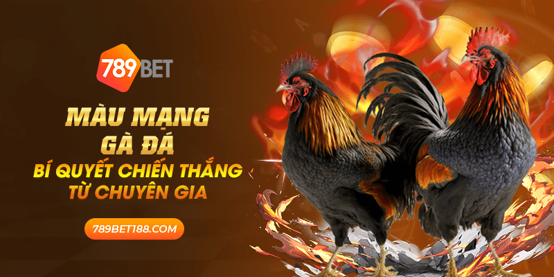 Màu mạng gà đá - Bí quyết chiến thắng từ chuyên gia 7 41 mau mang ga da bi quyet chien thang tu chuyen gia