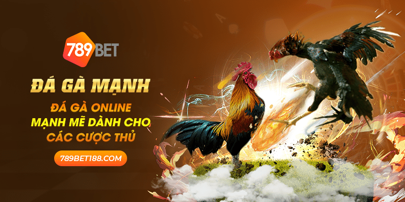 Đá gà mạnh: Đá gà online mạnh mẽ dành cho các cược thủ 4 Đá gà