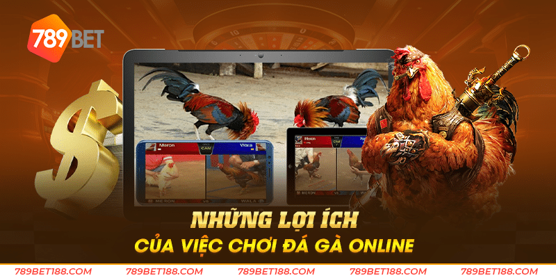 Những lợi ích của việc chơi đá gà online