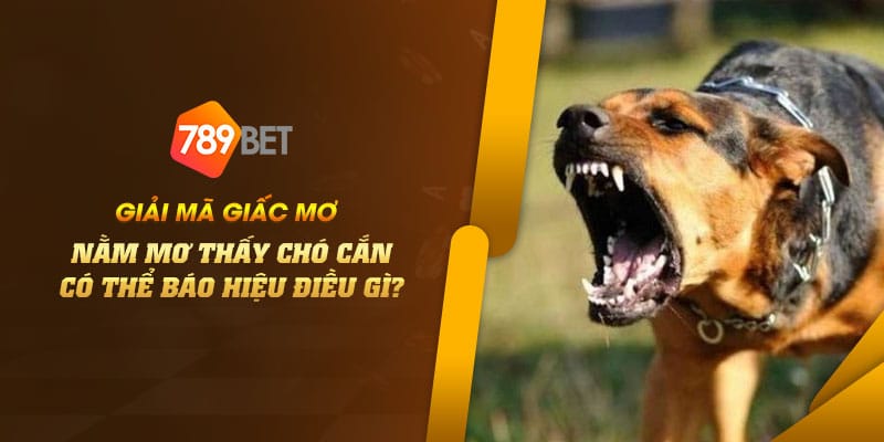 24 Giai ma giac mo Nam Mo thay cho can co the bao hieu dieu gi