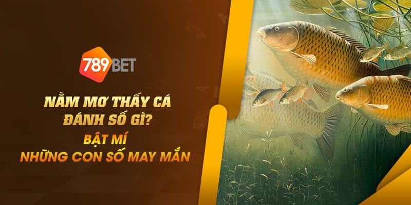 30 Nam mo thay ca danh so gi Bat mi nhung con so may man