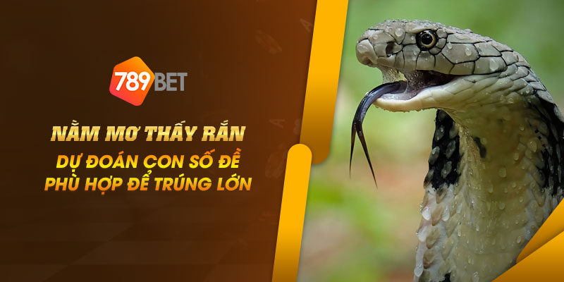 5 Nam mo thay ran Du doan con so de phu hop de trung lon