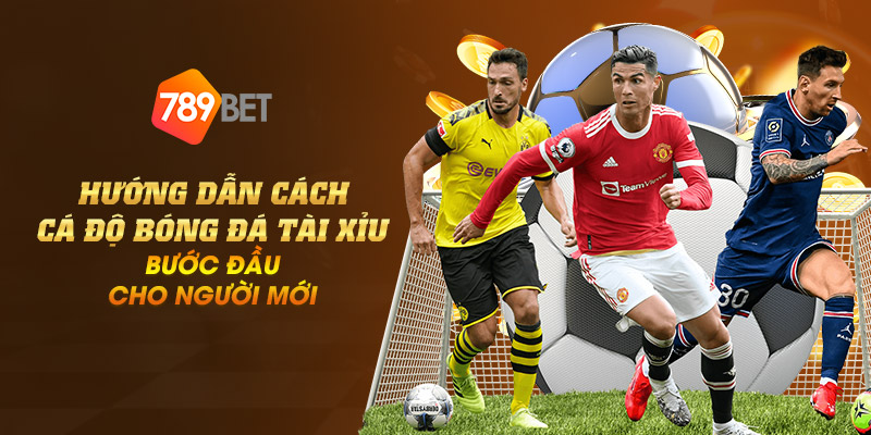 Hướng dẫn cách cá độ bóng đá tài xỉu: Bước đầu cho người mới 1 13 huong dan cach ca do bong da tai xiu buoc dau cho nguoi moi