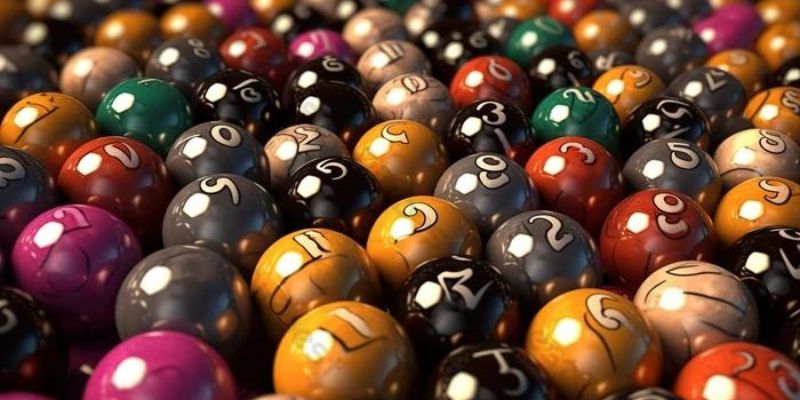 Giải mã giấc mơ: Nằm Mơ thấy chó cắn có thể báo hiệu điều gì? 4 Con số may mắn trong lô đề liên quan đến giấc mơ thấy chó cắn