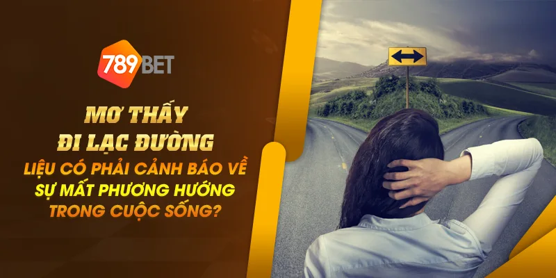 Anh dai dien mo thay di lac duong lieu co phai canh bao ve su mat phuong huong trong cuoc song