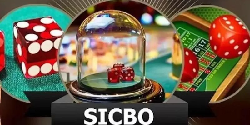 Bí kíp chơi sicbo luôn thắng: Chiến lược từ cao thủ 3 Tổng hợp các kiểu cược Sicbo phổ biến và cách tính tiền thưởng