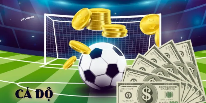 Mẹo cá độ bóng đá không thua: Đảm bảo lợi nhuận mỗi lần đặt cược 3 Tìm hiểu những mẹo cá độ bóng đá không thua từ cao thủ