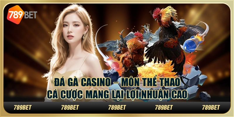 Đá gà casino – Môn thể thao cá cược mang lại lợi nhuận cao 1 Đá gà casino – Môn thể thao cá cược mang lại lợi nhuận cao