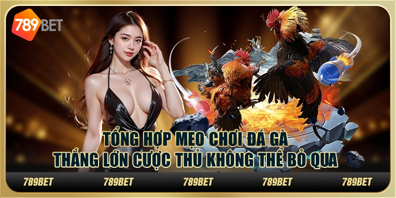 Tổng hợp mẹo chơi đá gà thắng lớn cược thủ không thể bỏ qua 1 Tổng hợp mẹo chơi đá gà thắng lớn cược thủ không thể bỏ qua