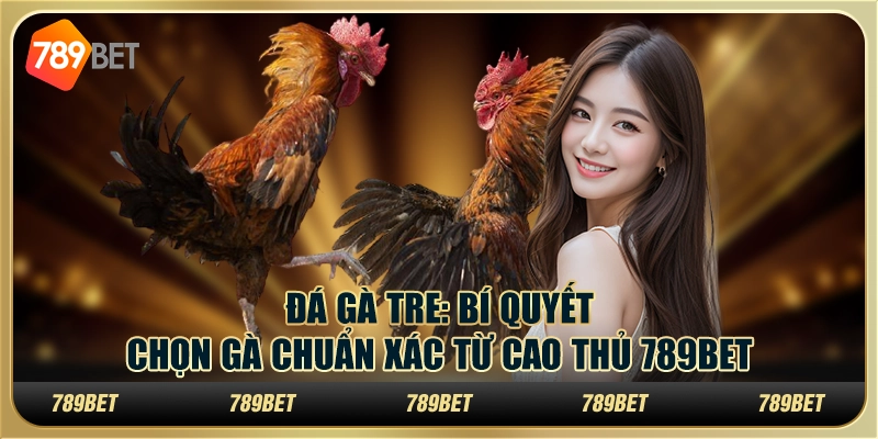 Đá gà tre: Bí quyết chọn gà chuẩn xác từ cao thủ 789Bet 1 Đá gà tre: Bí quyết chọn gà chuẩn xác từ cao thủ 789Bet