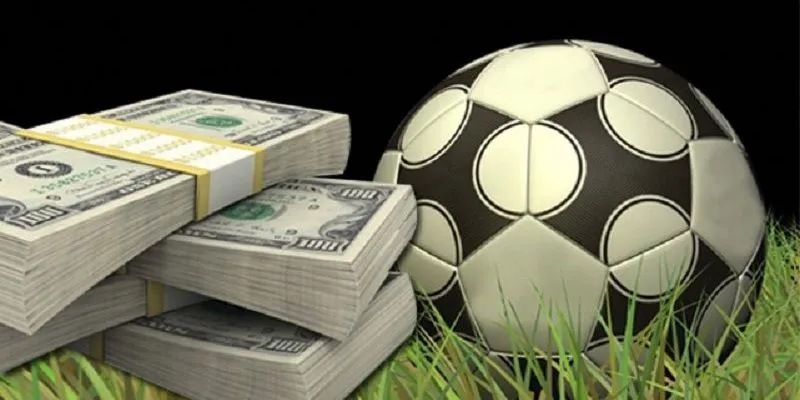 Cách chọn kèo thể thao phù hợp: Tăng cơ hội thắng lớn 4 Hướng dẫn cách chọn kèo thể thao phù hợp cho người mới bắt đầu