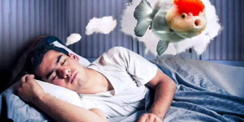 Nằm mơ thấy cá có ý nghĩa gì? Khám phá thông điệp từ giấc mơ 4 Sự liên kết của giấc mơ thấy cá với các con số tài lộc