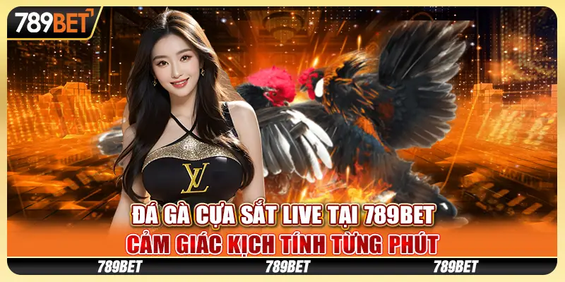 Đá gà cựa sắt live tại 789Bet – Cảm giác kịch tính từng phút 1 Đá gà cựa sắt live tại 789Bet – Cảm giác kịch tính từng phút