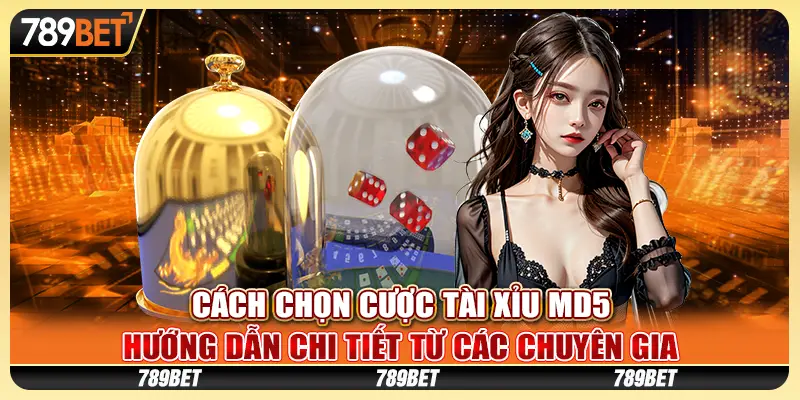 Cách chọn cược tài xỉu MD5: Hướng dẫn chi tiết từ các chuyên gia 1 Cách chọn cược tài xỉu MD5