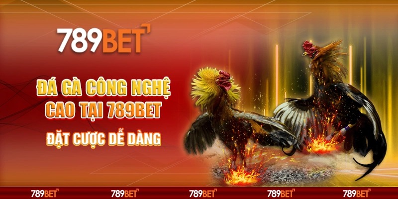 Đá gà công nghệ cao tại 789Bet - Đặt cược dễ dàng 5 Đá gà công nghệ cao tại 789Bet - Đặt cược dễ dàng