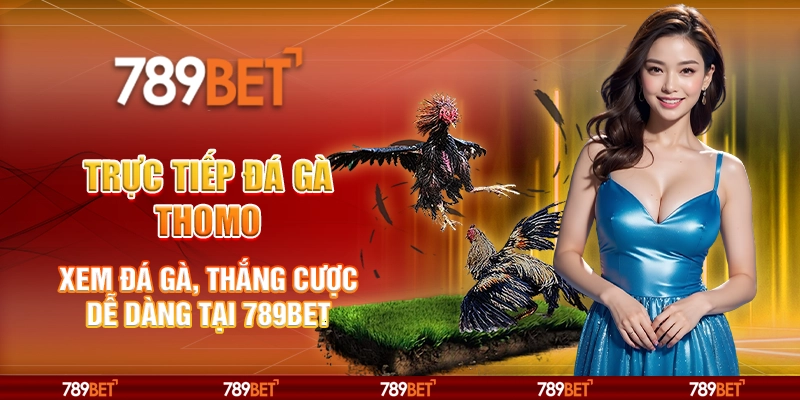 Trực tiếp đá gà Thomo - Xem đá gà, thắng cược dễ dàng tại 789Bet 7 Trực tiếp đá gà Thomo - Xem đá gà, thắng cược dễ dàng tại 789Bet