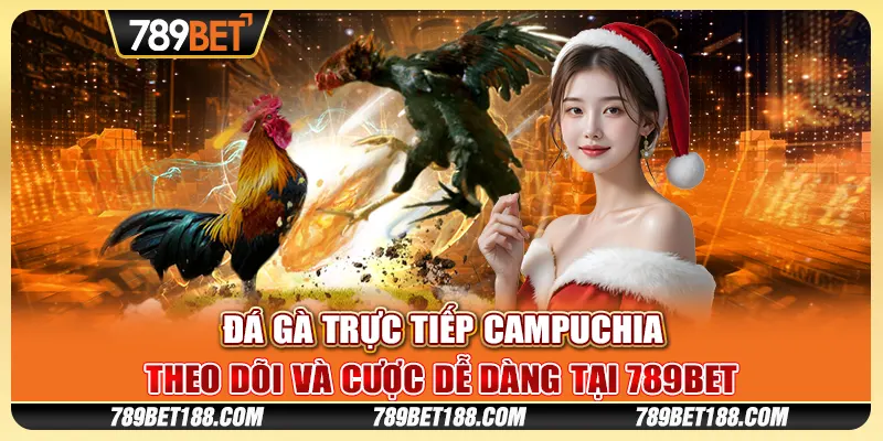 Đá gà trực tiếp Campuchia - Theo dõi và cược dễ dàng tại 789Bet 8 Đá gà trực tiếp Campuchia - Theo dõi và cược dễ dàng tại 789Bet
