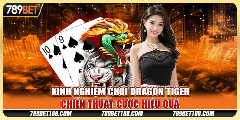 Kinh nghiệm chơi Dragon Tiger - Chiến thuật cược hiệu quả