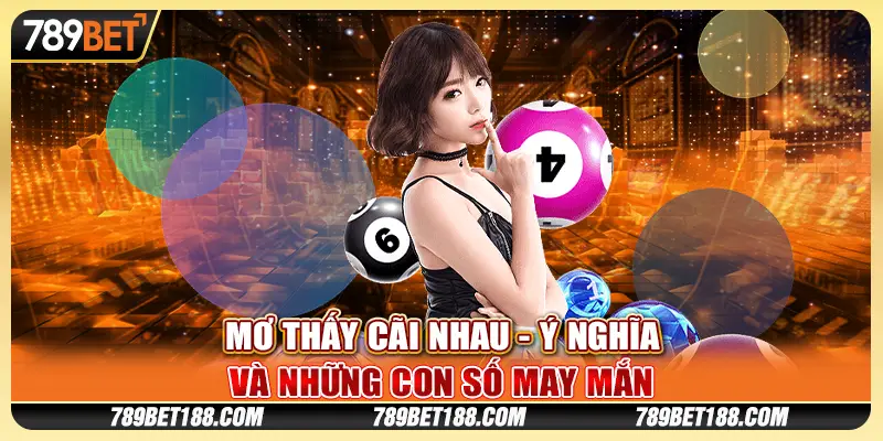 Mơ thấy cãi nhau - Ý nghĩa và những con số may mắn 1 Mơ thấy cãi nhau - Ý nghĩa và những con số may mắn