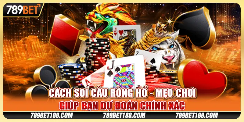 Cách soi cầu Rồng Hổ - Mẹo chơi giúp bạn dự đoán chính xác