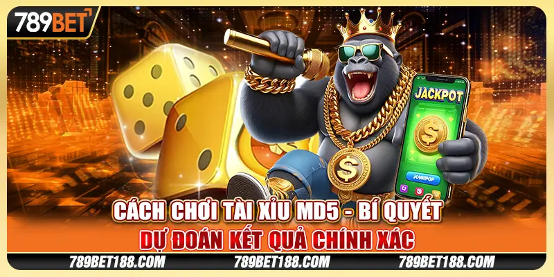 Cách chơi Tài Xỉu MD5 - Bí quyết dự đoán kết quả chính xác 1 Cách chơi Tài Xỉu MD5 - Bí quyết dự đoán kết quả chính xác