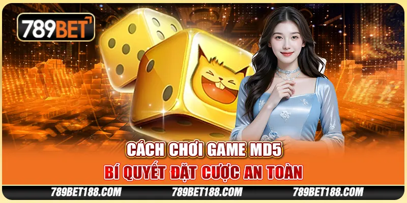Cách chơi tài xỉu MD5 - Bí quyết đặt cược an toàn 1 Cách chơi tài xỉu MD5 - Bí quyết đặt cược an toàn