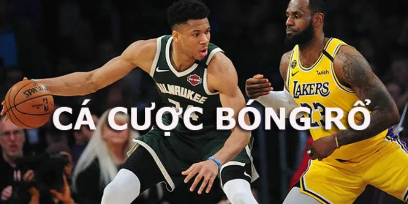 Cách cá cược bóng rổ hiệu quả: Bí quyết để thắng lớn mỗi trận 4 Tổng hợp cách cá cược bóng rổ thành công