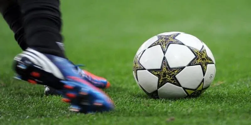 Một số nguyên do giúp bạn nên chơi cá cược tại 789Bet