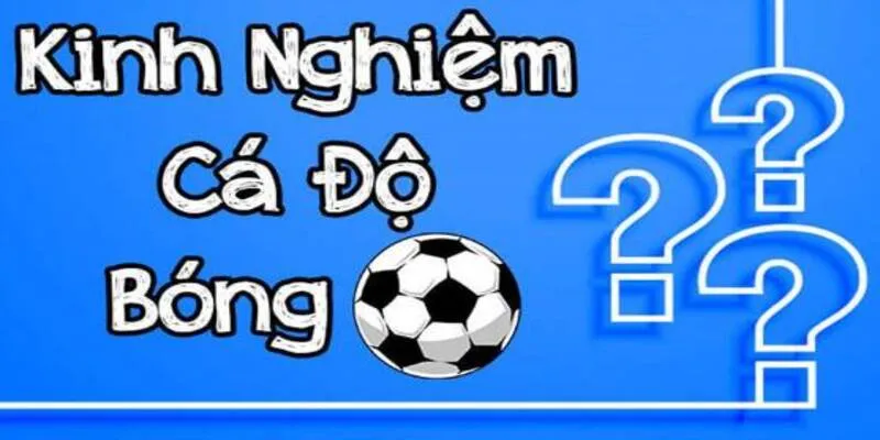 Nội dung hấp dẫn của kinh nghiệm cá cược 789Bet 