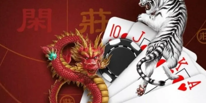 Cách đặt cược thành công với Dragon Tiger