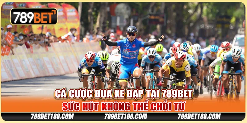 Cá cược đua xe đạp tại 789Bet - Sức hút không thể chối từ