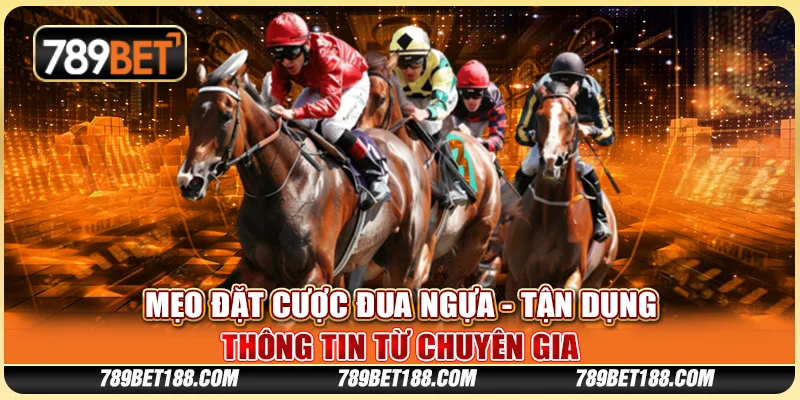 Mẹo đặt cược đua ngựa - Tận dụng thông tin từ chuyên gia 1 Mẹo đặt cược đua ngựa - Tận dụng thông tin từ chuyên gia