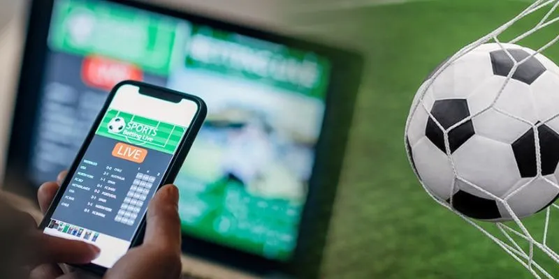 Tổng hợp những lưu ý khi cá độ qua app 