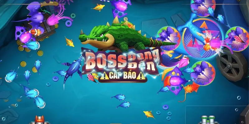 Tổng hợp 5 loại cá dễ bắn nhất