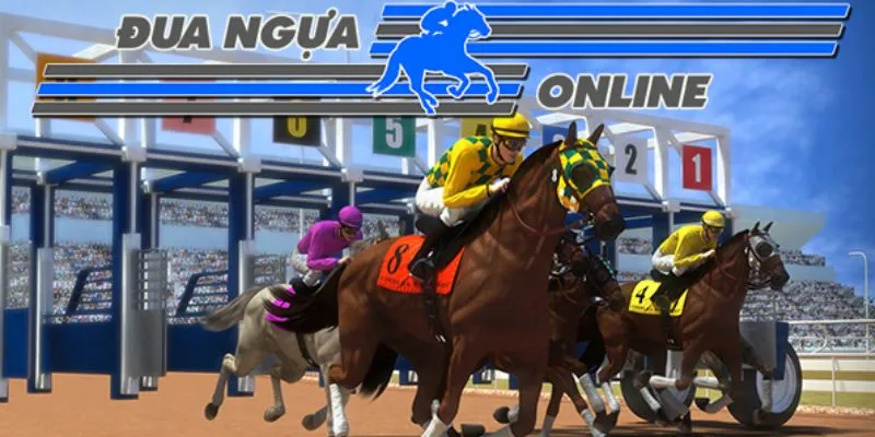 Mẹo đặt cược đua ngựa - Tận dụng thông tin từ chuyên gia 2 Tổng hợp các kèo cược phổ biến trong đua ngựa