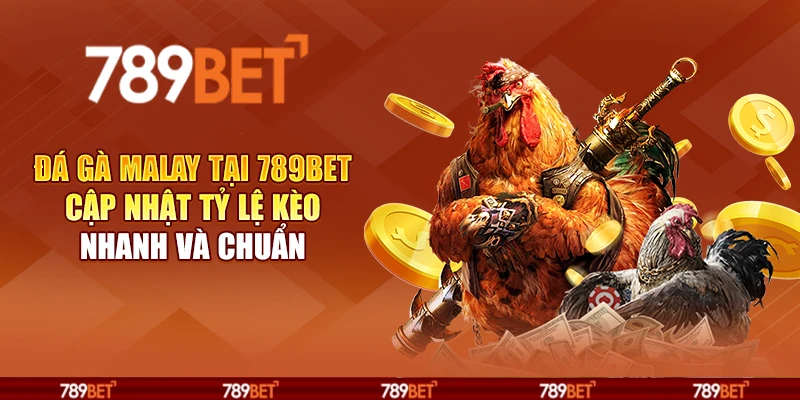 Đá gà Malay tại 789Bet - Cập nhật tỷ lệ kèo nhanh và chuẩn 1 Đá gà Malay tại 789Bet - Cập nhật tỷ lệ kèo nhanh và chuẩn