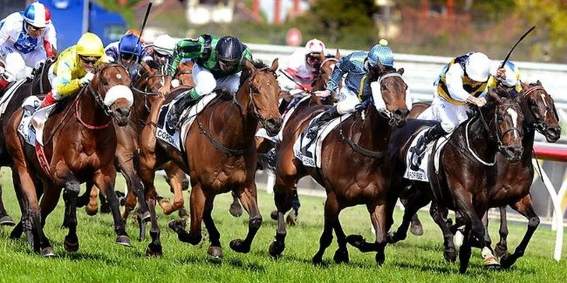 Khám phá các loại hình cá cược đua ngựa phổ biến