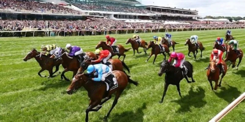 Thủ thuật cá cược đua ngựa hiệu quả 