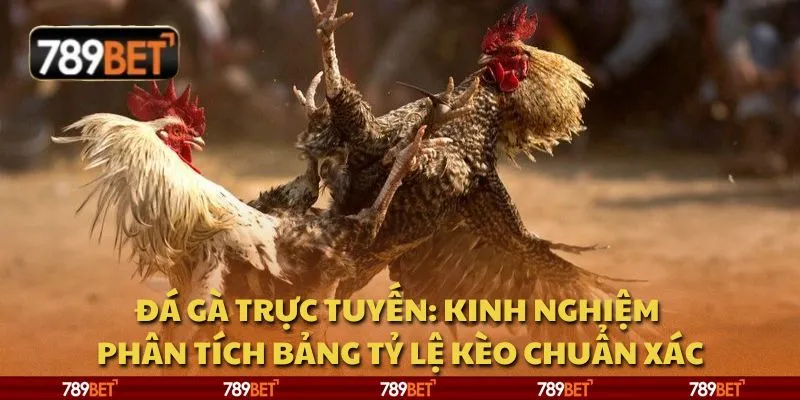 Đá gà trực tuyến: Kinh nghiệm phân tích bảng tỷ lệ kèo chuẩn xác 8 Đá gà trực tuyến: Kinh nghiệm phân tích bảng tỷ lệ kèo chuẩn xác