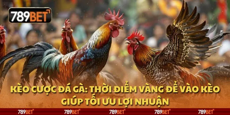 Kèo cược đá gà: Thời điểm vàng để vào kèo giúp tối ưu lợi nhuận 5 Kèo cược đá gà: Thời điểm vàng để vào kèo giúp tối ưu lợi nhuận