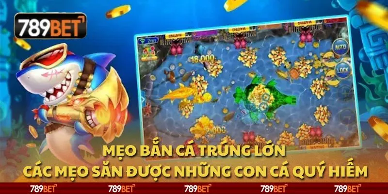 Mẹo bắn cá trúng lớn: Các mẹo săn được những con cá quý hiếm 2 Mẹo bắn cá trúng lớn: Các mẹo săn được những con cá quý hiếm