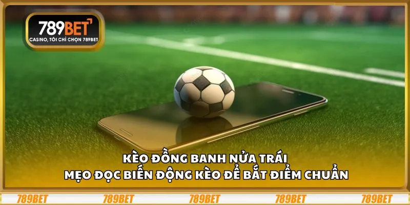 Kèo đồng banh nửa trái: Mẹo đọc biến động kèo để bắt điểm chuẩn 5 Kèo đồng banh nửa trái: Mẹo đọc biến động kèo để bắt điểm chuẩn