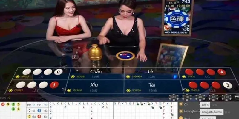 Cách nhận biết cầu xóc đĩa – Mẹo quan sát chuỗi kết quả để bắt cầu 4 Chiến lược bắt cầu xóc đĩa từ cao thủ